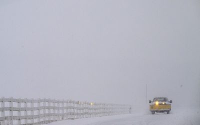 Winter Storm Damage in Connecticut: Why Broken Fences Put Your Property, Pets, and Family at Risk